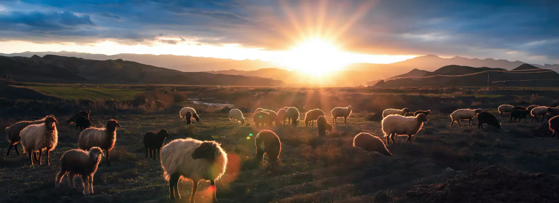 Aziende sostenitrici