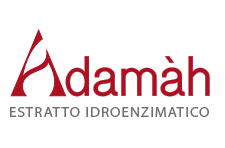 adamah logo