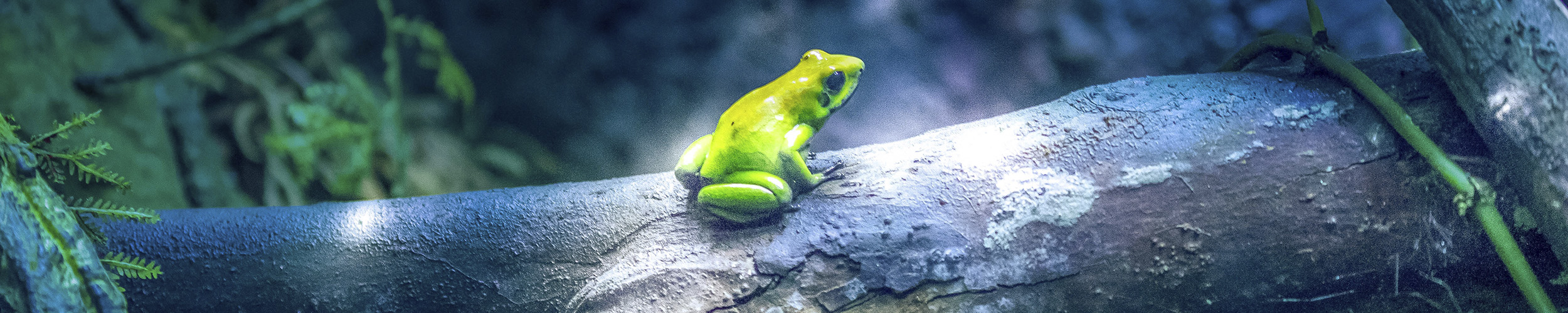 Iscriviti alla Newsletter